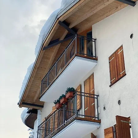Homely Cortina Ready Experience *